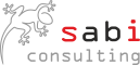 sabi consulting s.r.o.